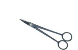 Bud Trimming scissors