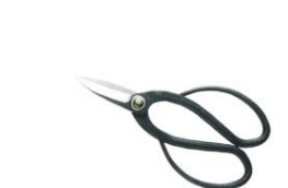 Bonsai scissors medium size
