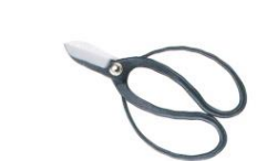Flower scissors koryo type
