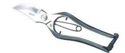 Pruning shears 200mm B type