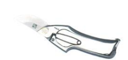 Pruning shears 200mm A type kuzuryuugawa