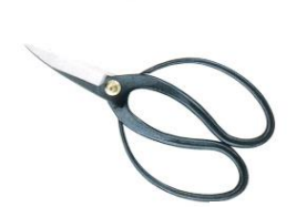 Long bladed garden shears