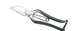Pruning shears 200 mm