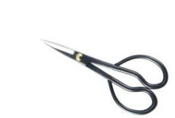 Satsuki scissors S
