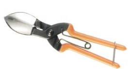 Pumpkin crop scissors