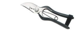 Pruning & bud shears one blade 230mm