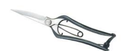 Pruning and bud shears one blade 210mm