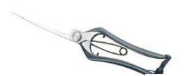 Pruning & bud shears both blades 230mm