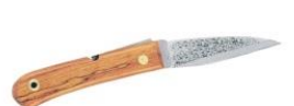 Folding grafting knife
