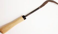 Transpplantation sickle
