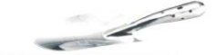 Stainless steel trowel L