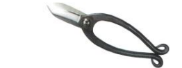 Flower scissors lkenobou type L