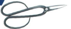 Jin pliers S