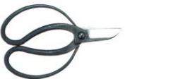 Left-handed flower scissors koryu type