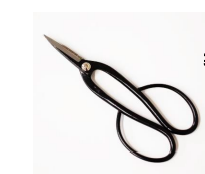 Long handeld bonsai scissor
