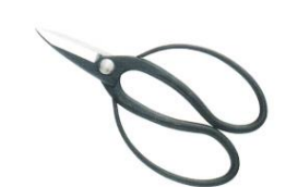 Professional garden shears aogami