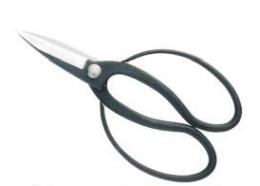 Professional long bladed garden shears agomi