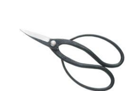 Professional bonsai scissors aogami