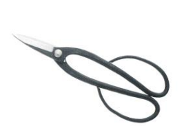 Professional long handied bonsai scissors aogami