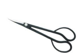 Professional satsuki scissors aogami
