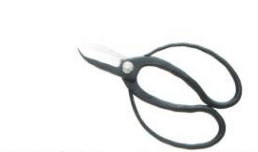 Professional flower scissors aogami koryu type