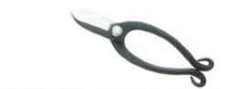 Professional flower scissors aogami lkenobou type