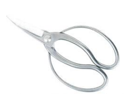 Stainless steel long bladed garden shears