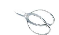 Stainless steel flower scissors koryu type