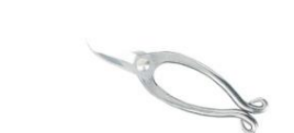 Stainless steel flower scissors lkenobou type