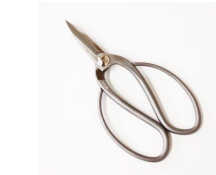 SLD S.S bonsai scissor