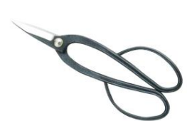 Long handied bonsai scissors