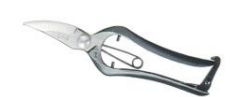 Pluning & bud shears