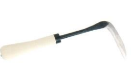 Transpplantation sickle S