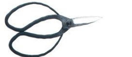 Left-handed long bladed garden shears