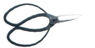 Left-handed long bladed garden shears