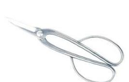 Steenless steel long handied bonsai scissors