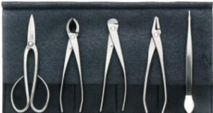 Stainless steel bonsai tool set 5pcs