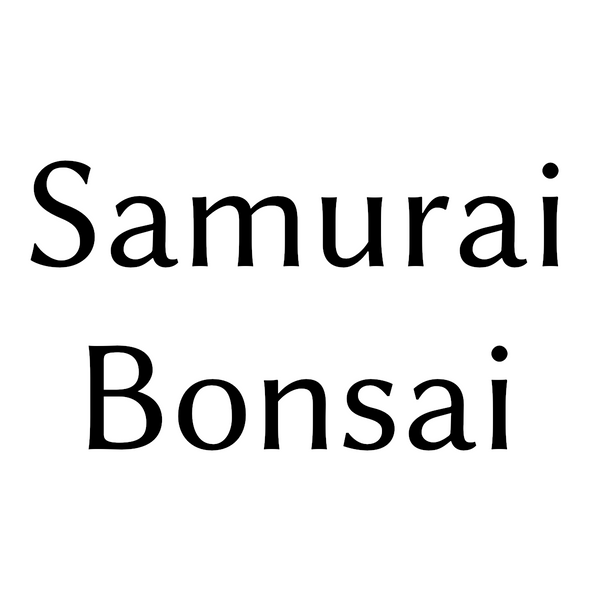 Samurai Bonsai